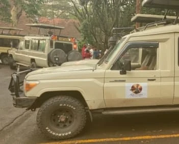 Safari experience