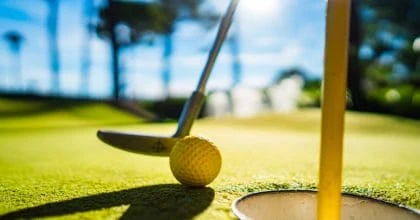 Golfing Safaris