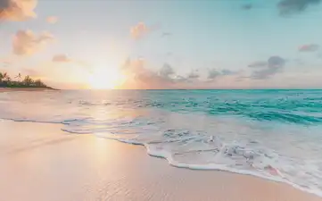 Beach Holiday Packages — tropical beach
